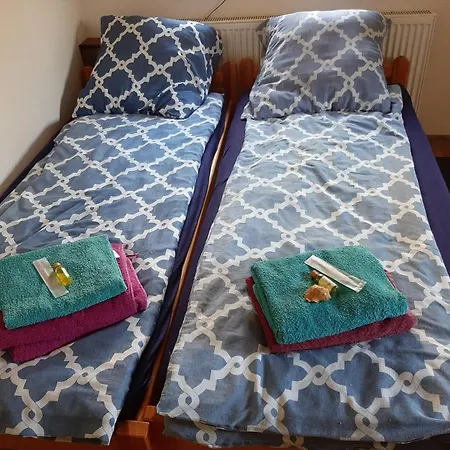 Delfin Daire Mikoszewo