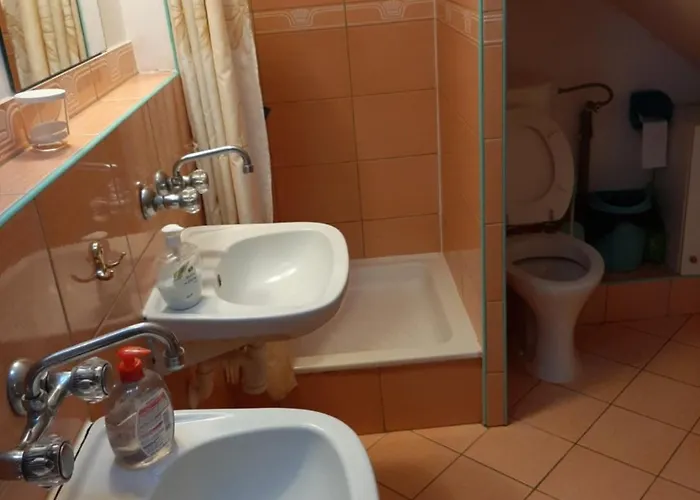 Delfin Daire Mikoszewo